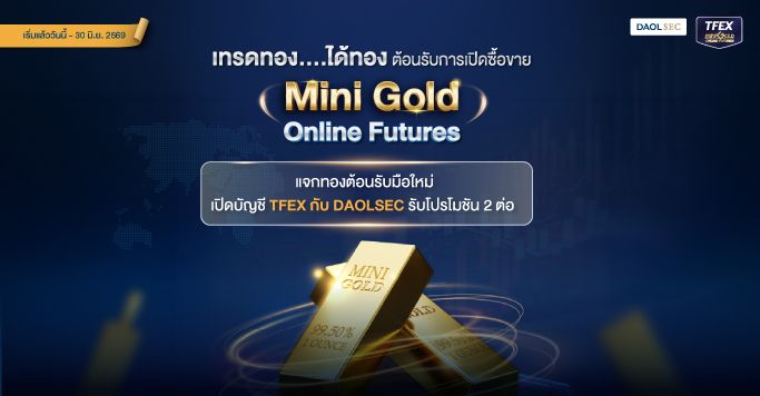 Mini Gold SEO