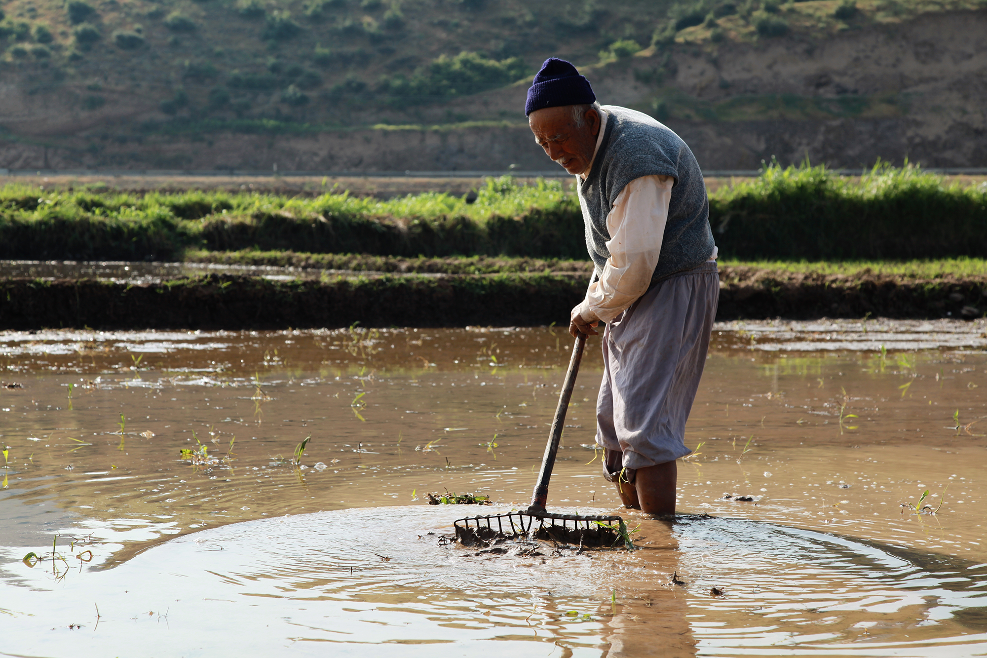 Shutterstock 2243160777