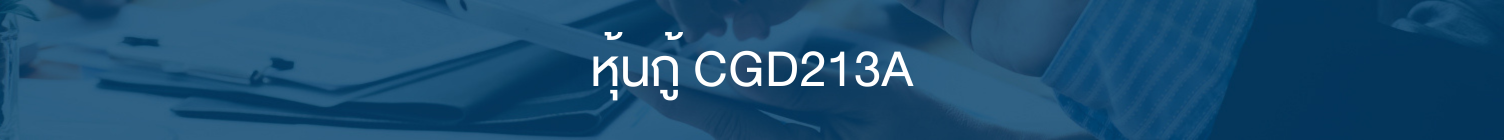 Cg D213 A